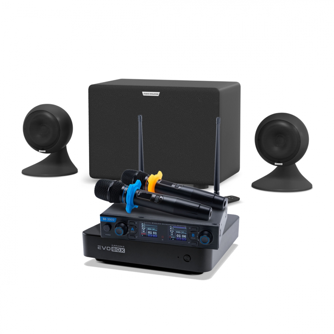 караоке-комплект EVOBOX + EvoSound Sphere 2.1 в Цивильске