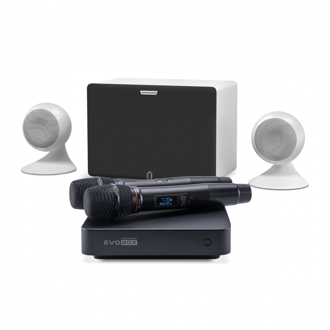 караоке-комплект EVOBOX Classic + EvoSound Sphere 2.1 в Цивильске