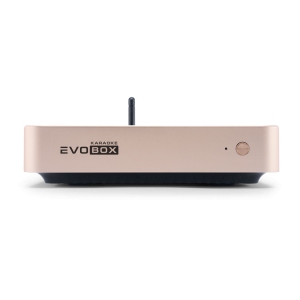 EVOBOX Classic караоке-система для дома в Цивильске