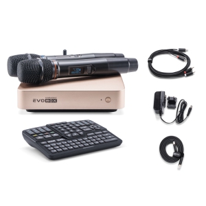 EVOBOX Classic караоке-система для дома в Цивильске