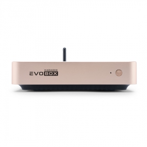 EVOBOX Plus караоке-система для дома в Цивильске