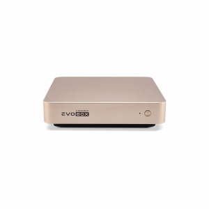 EVOBOX с микрофонами в Цивильске
